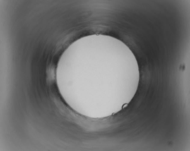 X0000113220042200910081352