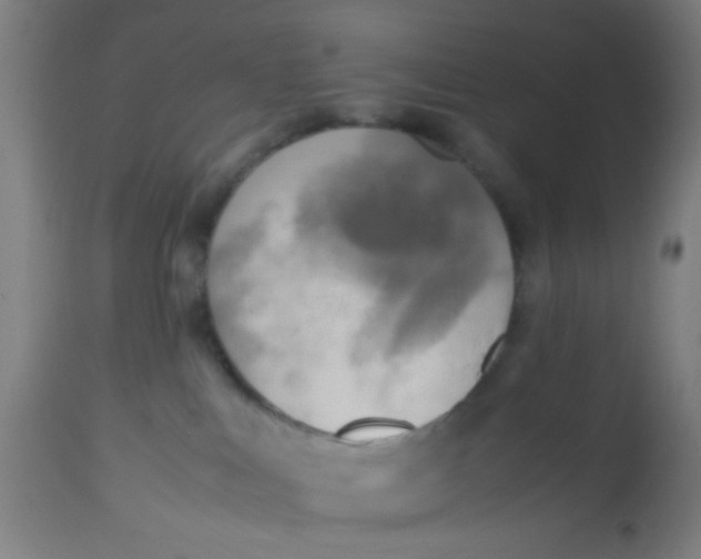 X0000113220043200910081352