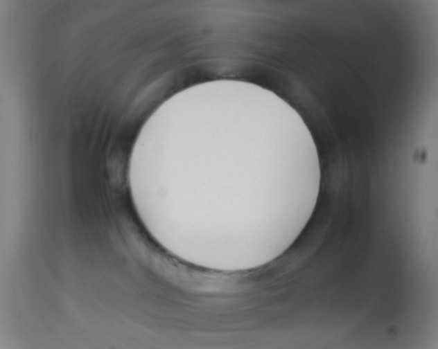 X0000113220044200910081352