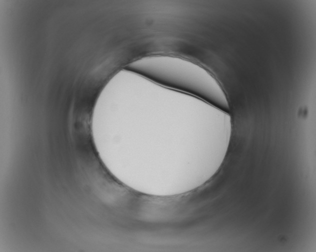 X0000113220045200910081352