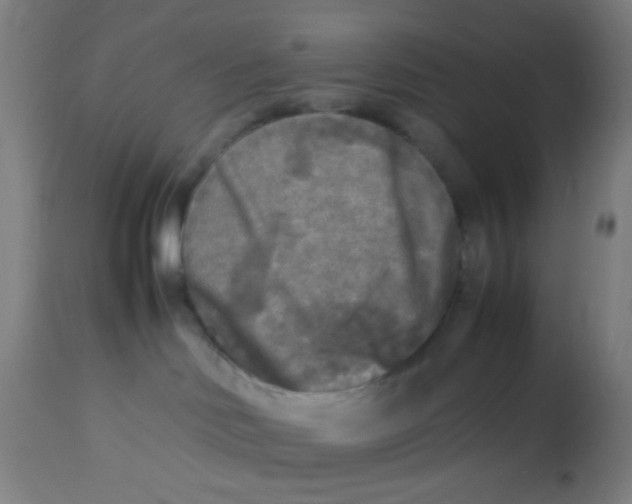 X0000113220046200910081352