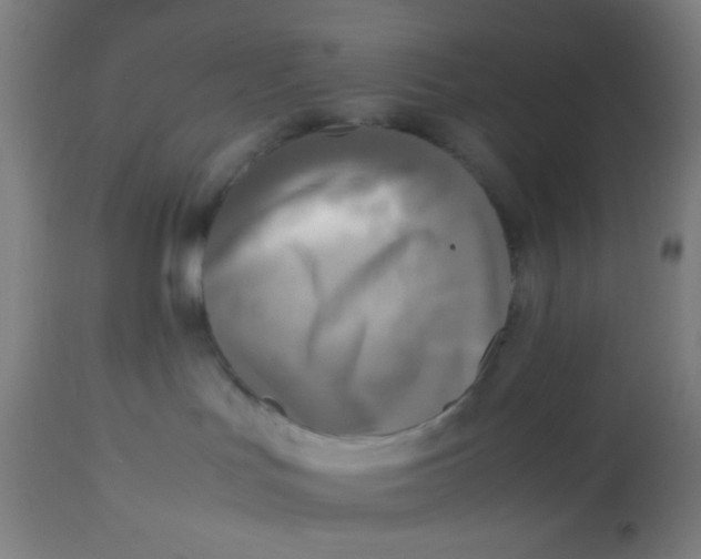 X0000113220047200910081352