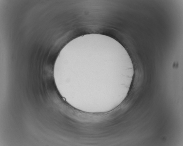 X0000113220048200910081352