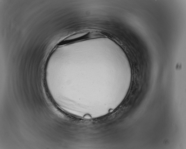 X0000113220049200910081351