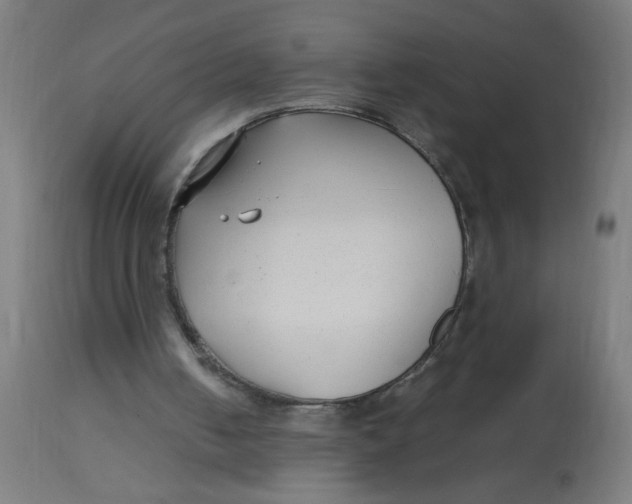 X0000113220050200910081351