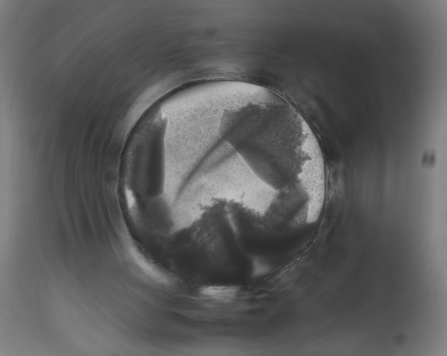 X0000113220051200910081351