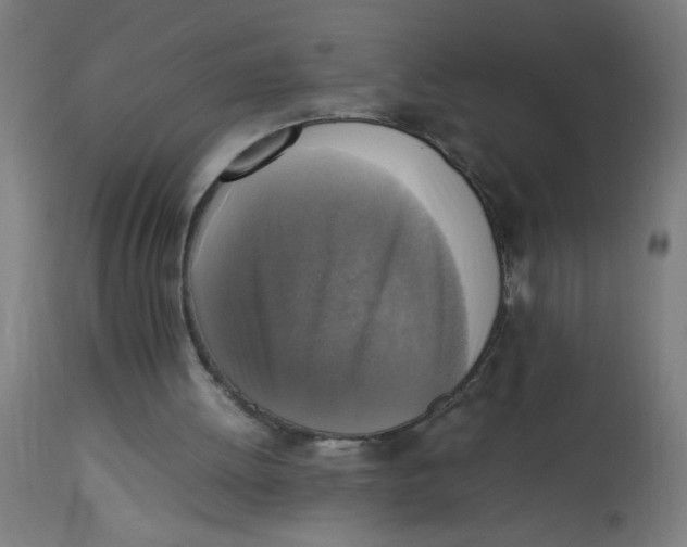 X0000113220052200910081351