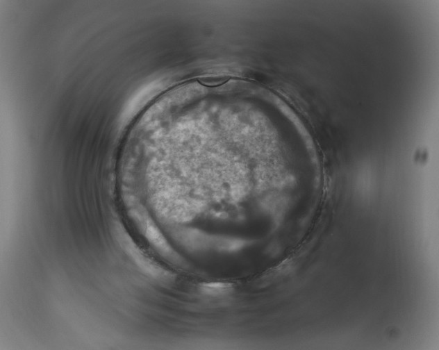 X0000113220053200910081351