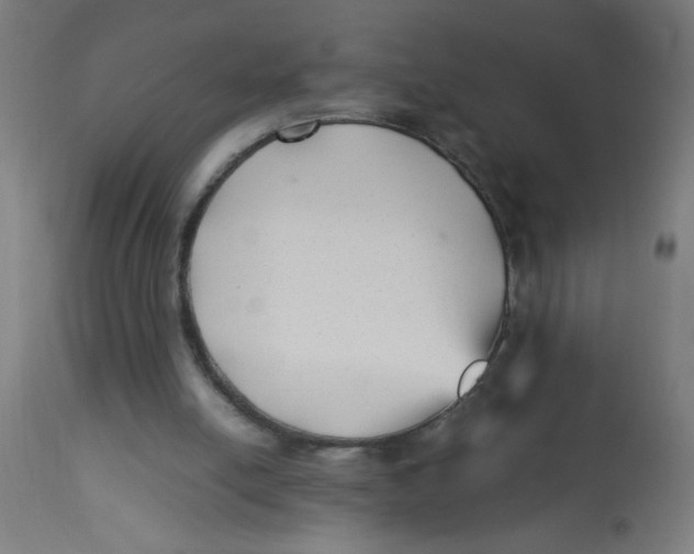 X0000113220054200910081351