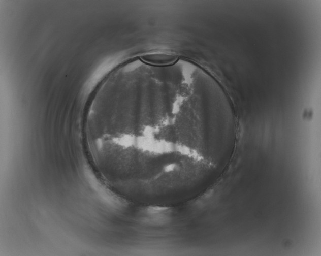 X0000113220055200910081351