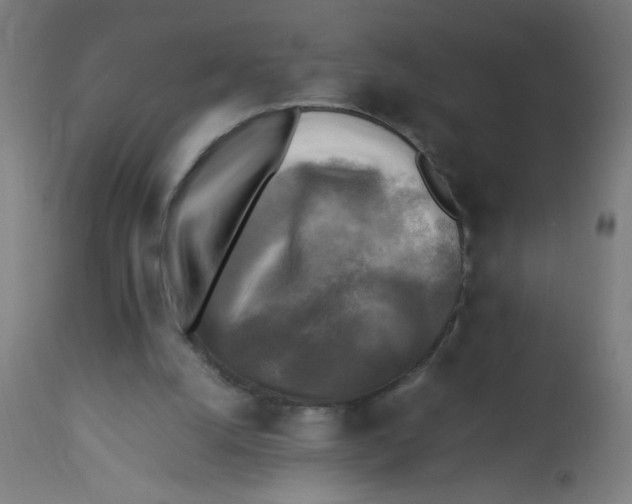 X0000113220056200910081351
