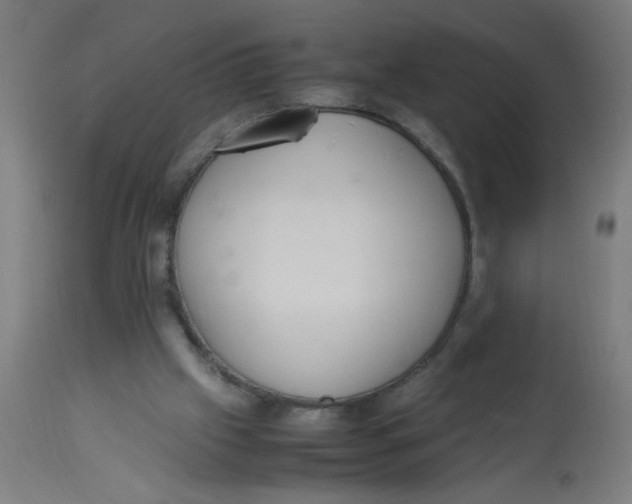 X0000113220057200910081351