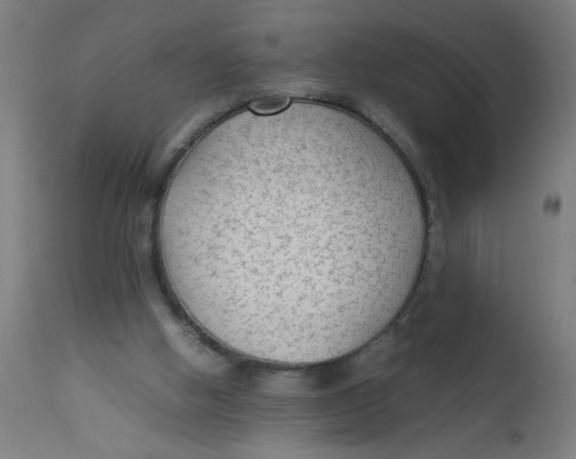 X0000113220058200910081351