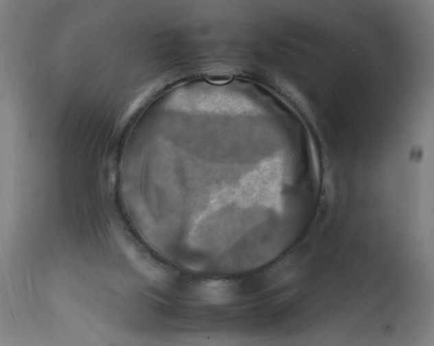 X0000113220059200910081351