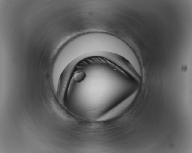 X0000113220060200910081351