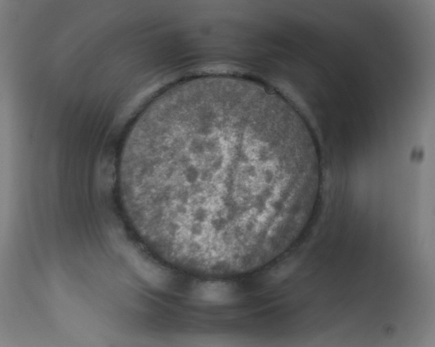 X0000113220063200910081351