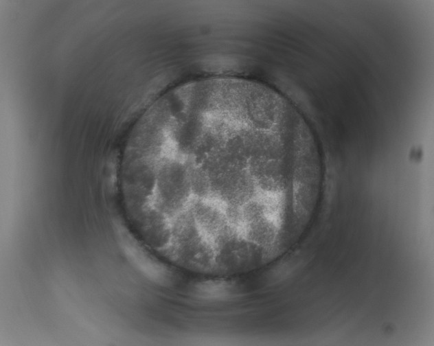 X0000113220065200910081351