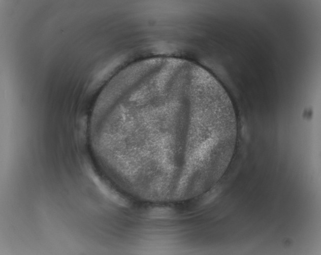 X0000113220066200910081351