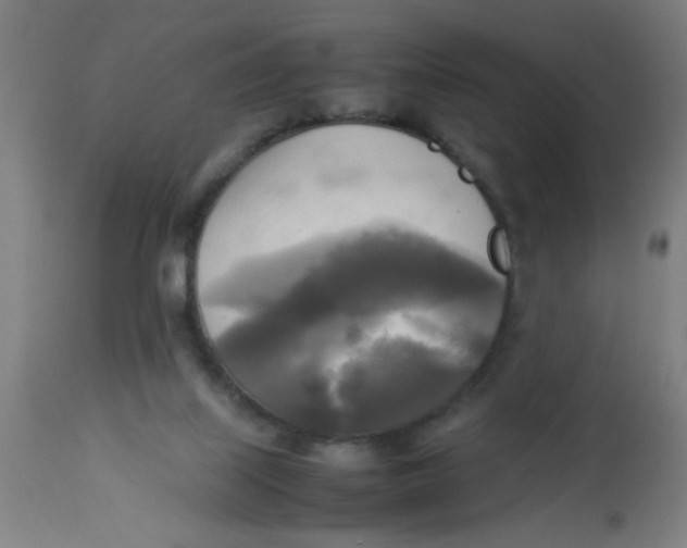 X0000113220067200910081351