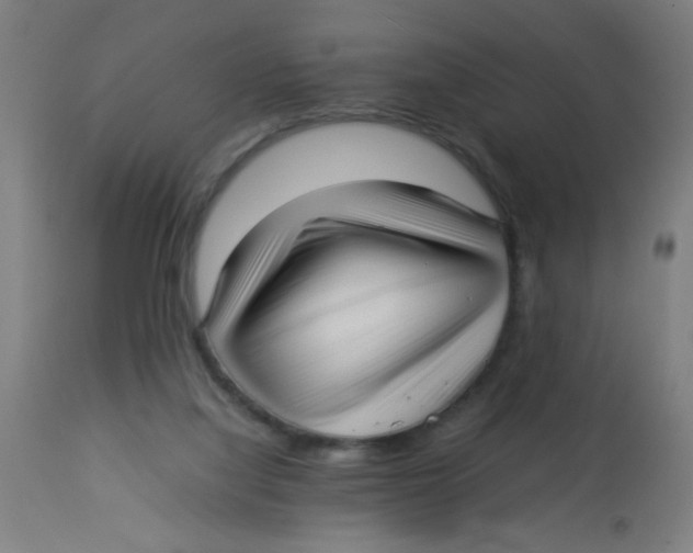 X0000113220068200910081351