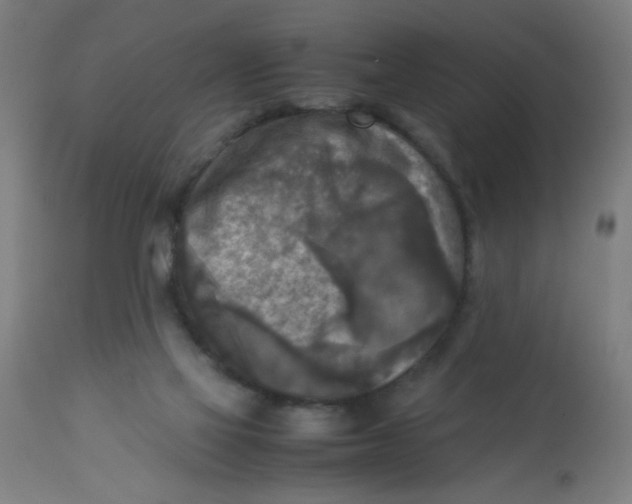 X0000113220069200910081351