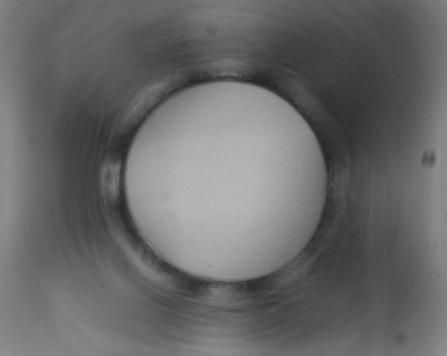 X0000113220070200910081351