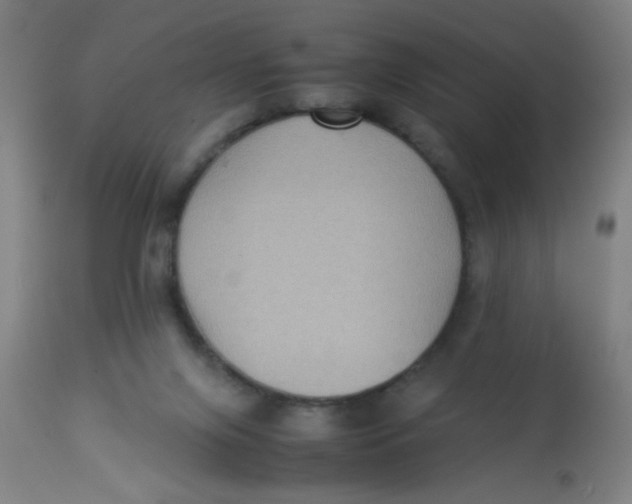 X0000113220071200910081351