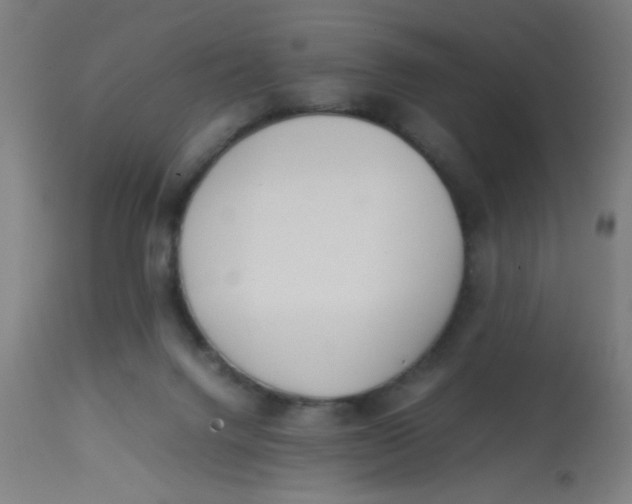 X0000113220072200910081351