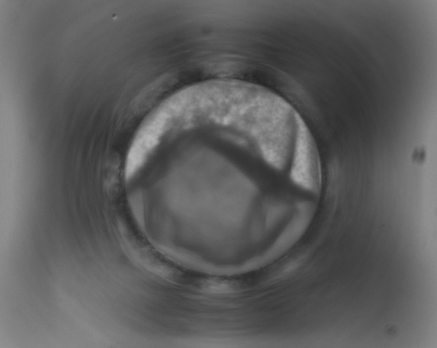 X0000113220073200910081351