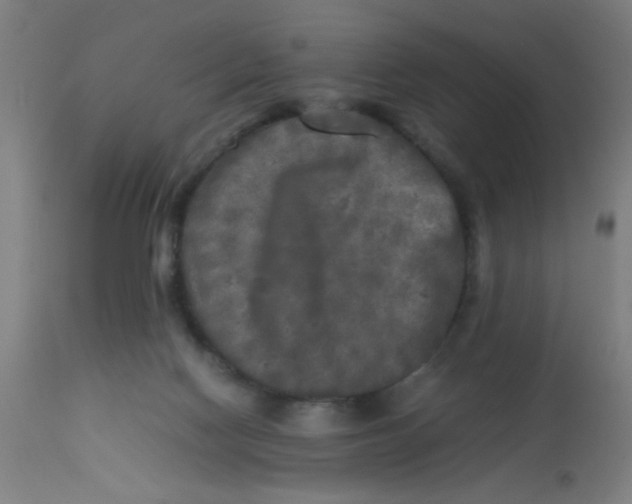 X0000113220074200910081351