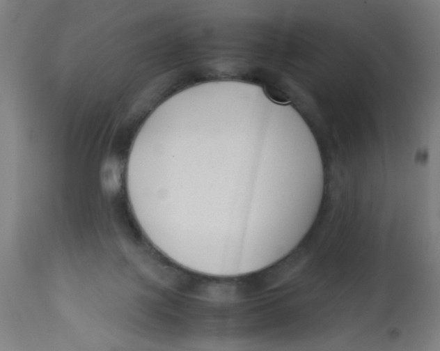 X0000113220075200910081351