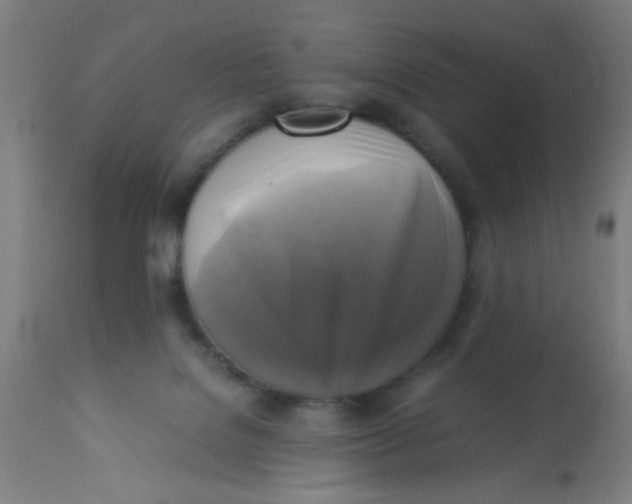 X0000113220076200910081352