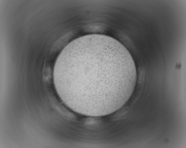 X0000113220077200910081352