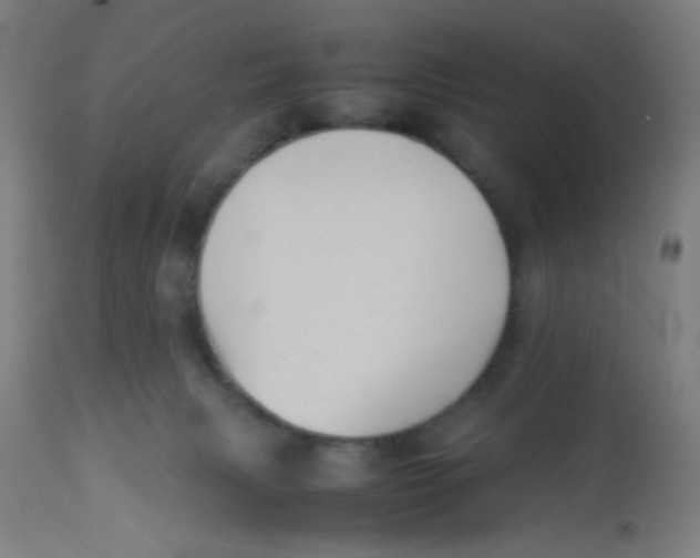 X0000113220079200910081352