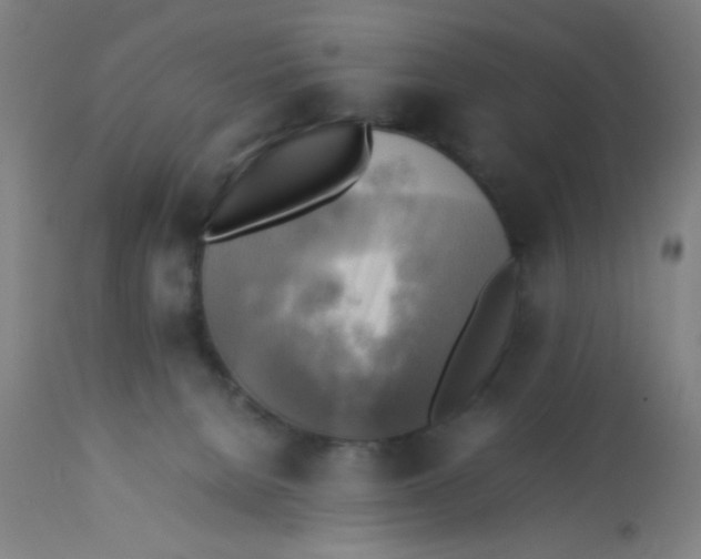 X0000113220080200910081352