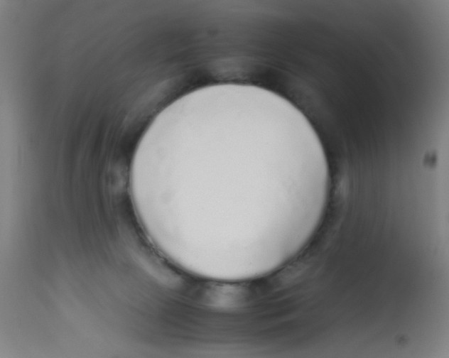 X0000113220081200910081352