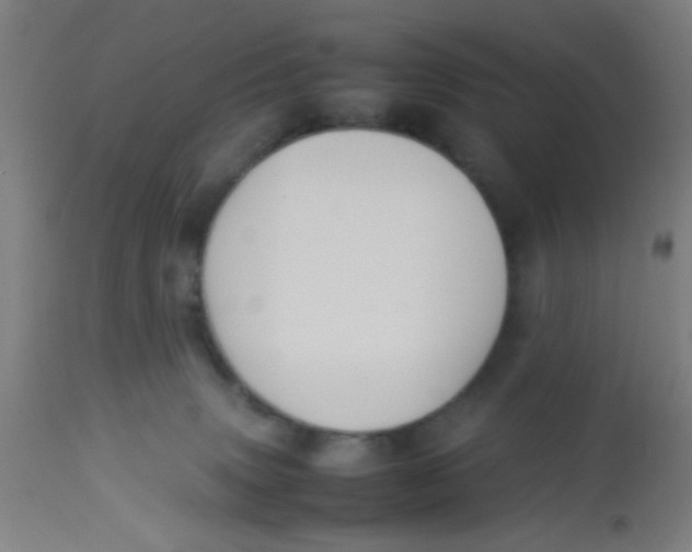 X0000113220083200910081352