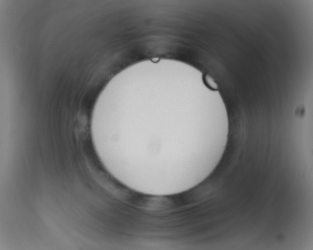 X0000113220087200910081352