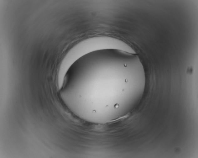 X0000113220088200910081352