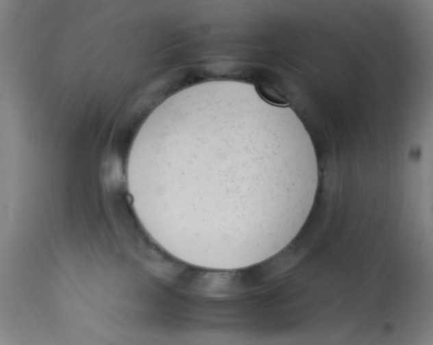 X0000113220089200910081352