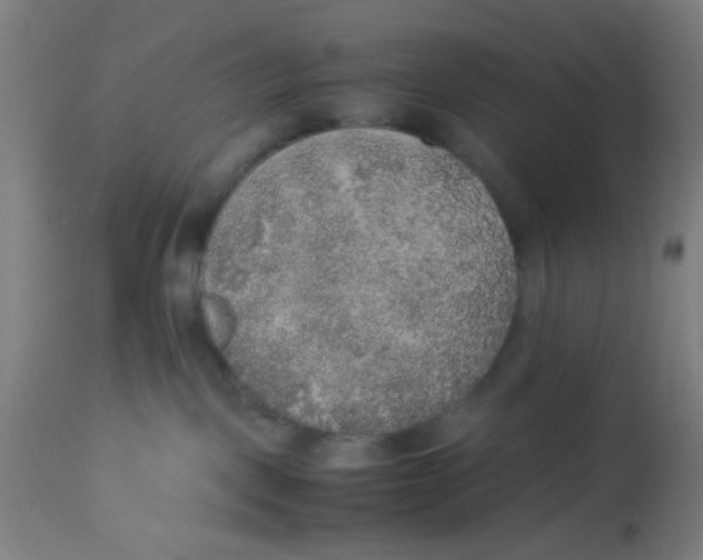 X0000113220093200910081352