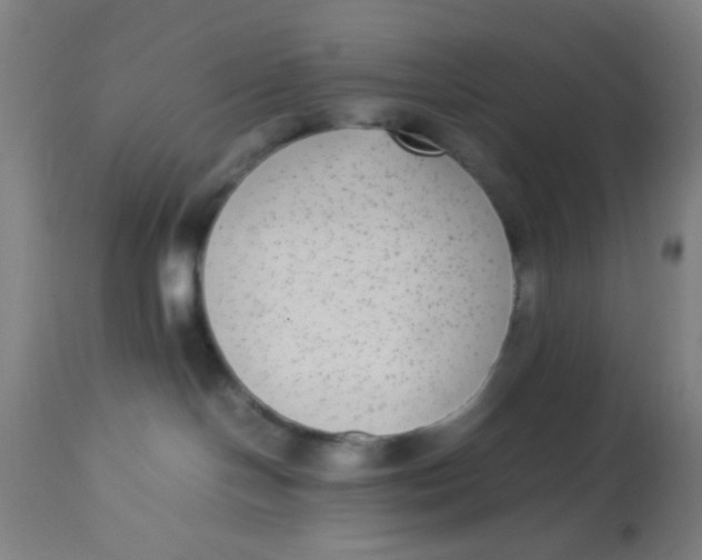 X0000113220094200910081352