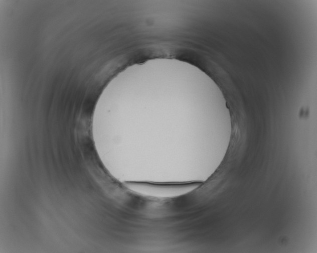X0000113220096200910081352