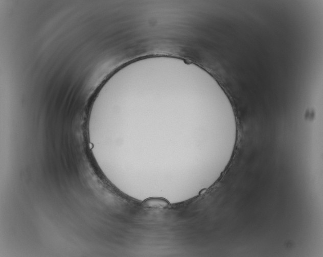 X0000113220098200910081351