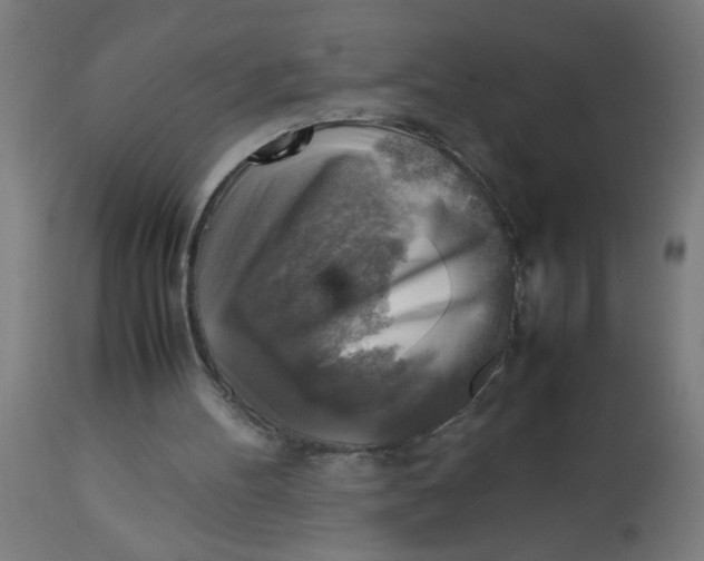 X0000113220100200910081351
