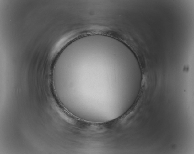 X0000113220101200910081351