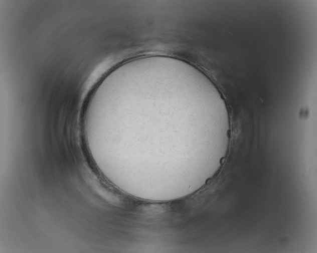 X0000113220102200910081351