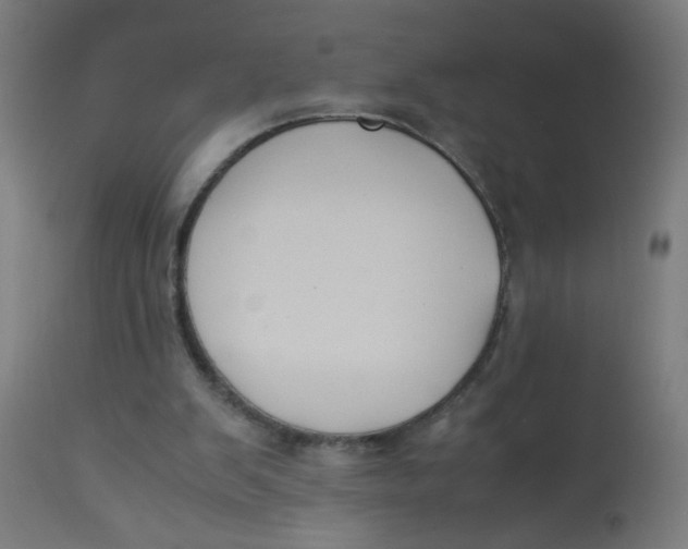 X0000113220103200910081351