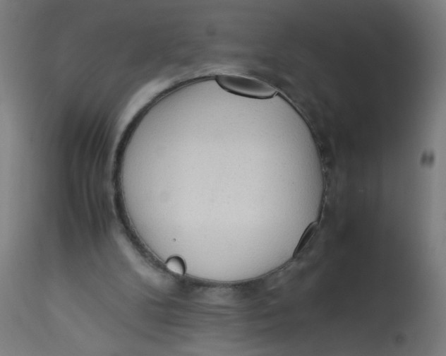 X0000113220104200910081351