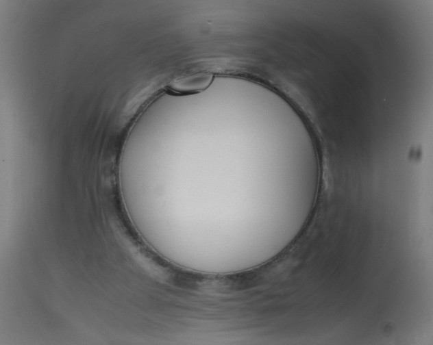 X0000113220105200910081351